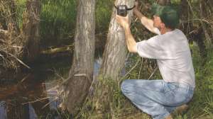 SW331 Placing a trail camera near water copyright Mark Kayser edt