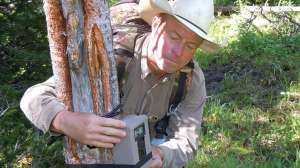 SWB19 Mark Kayser sets up a trail camera hell return to check just prior to the season copyright Mark Kayser