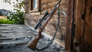 Savage 110 Classic beauty