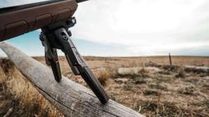 Savage BIPO Dl cropped