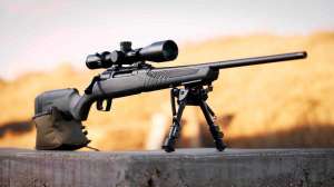 Savage Impulse cropped