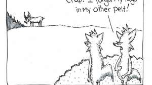 Scattered Thoughts Cartoon Summer copy