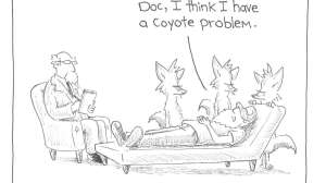 Scattered Thoughts Spring