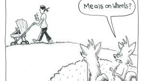 Scattered Thoughts Star Gazing