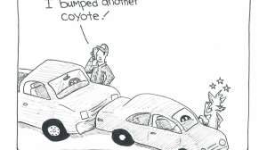 Scattered Thoughts Winter 2023