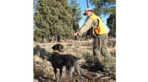 Scott Linden 1709 640 181003 155423