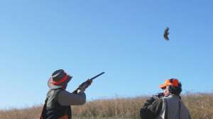 Scott Linden Field Shooting 181003 154947