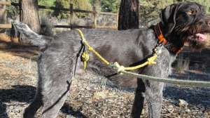 Scott Linden Hitch 181003 160022