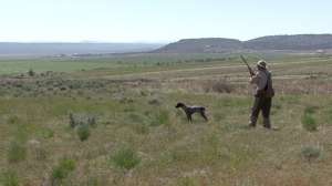 Scott Linden Screen Shot 2014 08 26 at 1041 181010 154816