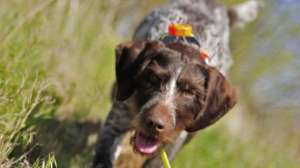 Scott Linden 09 B7366 181003 155836