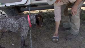 Scott Linden Dog Food 181010 154825