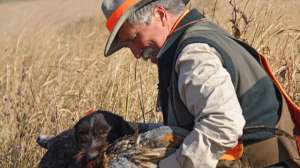 Scott Linden dogs 10 181003 161904