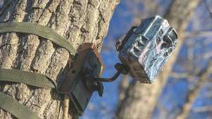 Scouting Camera Thieves