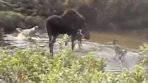 Screen Shot 2014 05 13 at 253 181010 155037