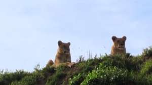 Screen Shot 2014 05 19 at 905 181010 154849