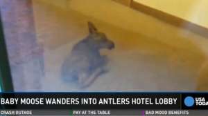 Screen Shot 2014 06 17 at 923 181010 154654