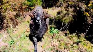 Screen Shot 2014 09 03 at 1047 181010 154922