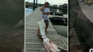 Screen Shot 2014 09 11 at 347 CNN 181010 154637