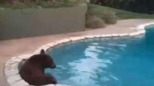 Screen Shot 2014 09 16 at 1047 You Tube 181010 154700