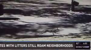 Screen Shot 2014 09 30 at 244 181010 154732