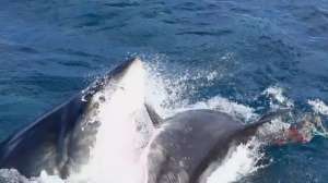 Screen Shot 2014 10 01 at 832 181010 154931