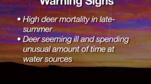 Screen Shot 2014 11 04 at 1226 181003 160118