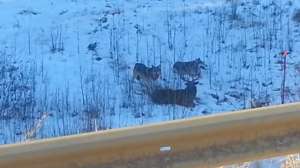 Screen Shot 2014 12 04 at 847 181010 155037