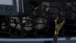 Screen Shot 2015 01 05 at 919 181010 154712