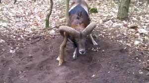 Screen Shot 2015 04 14 at 923 181010 154837