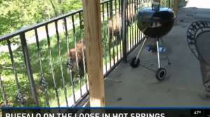 Screen Shot 2015 04 20 at 938 KTV11 181010 154715