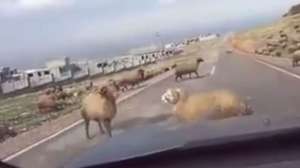 Screen Shot 2015 06 01 at 908 YOUTUBE 181010 155045