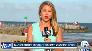 Screenshot Bobcat Catches Shark 181010 154713