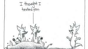 Scttered Thoughts Summer