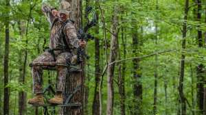 Shooting sitting lead