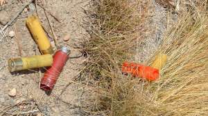 Shotgun Hulls 181003 161812