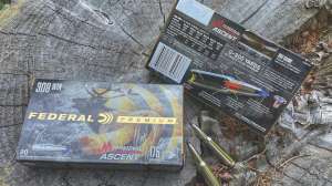 Sidebar Federal Ammo1231