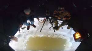 Sight Fishing Ice Fishing for Trout