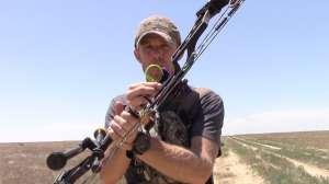 Sight Tape Bauserman