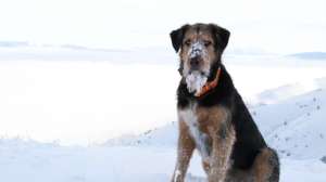 Sitka Chris Awe 181010 154938