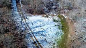 Snow seeding clover plot
