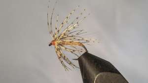 Spider trout fly Denis Dunderdale