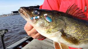 Spinner 181003 160007