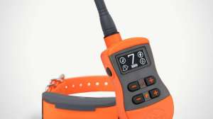 Sportdog Sport Trainer
