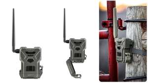 Spy Point Flex M collage