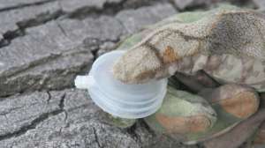 Squeaker predators 181003 160025