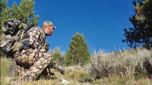 Stalk Elk with the pros