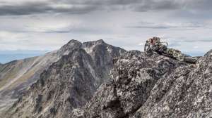 Stone sheep giveaway beauty