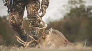 Stroff walking up on buck