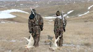 Successful coyote hunters copyright Mark Kayser