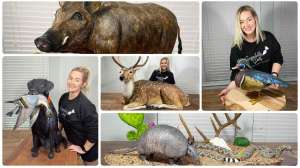 Sugarbelle Sweets lead image collage